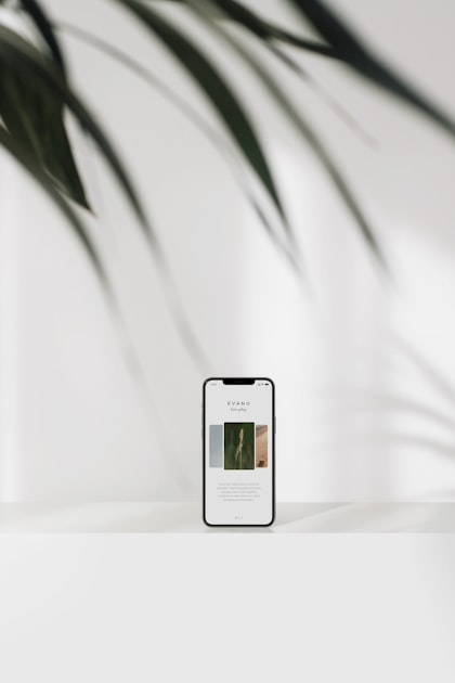 User Experience Design Principles